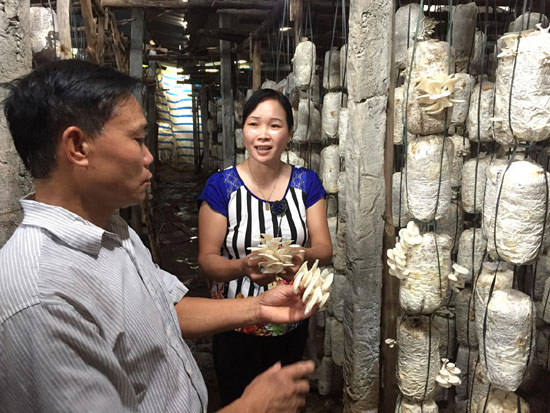 Trồng nấm - thế mạnh mới của nông nghiệp Bắc Giang ảnh 1